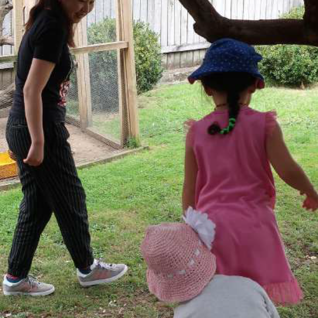 英語プラス幼稚園ボランティア