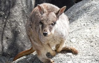 パース動物園