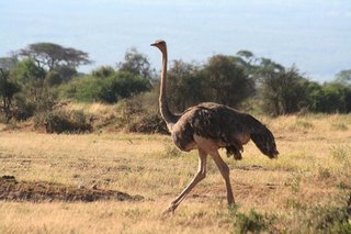 クリーランド自然保護公園