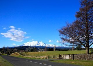 周辺は充実の自然環境