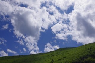 ウォルター・ピーク高原牧場