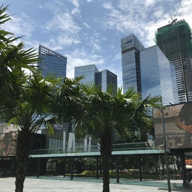 周辺環境