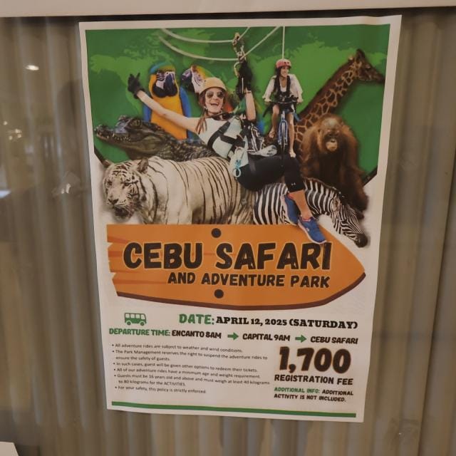 掲示板