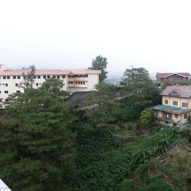 学校周辺