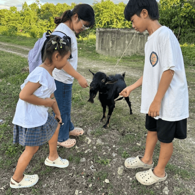 敷地内の雰囲気