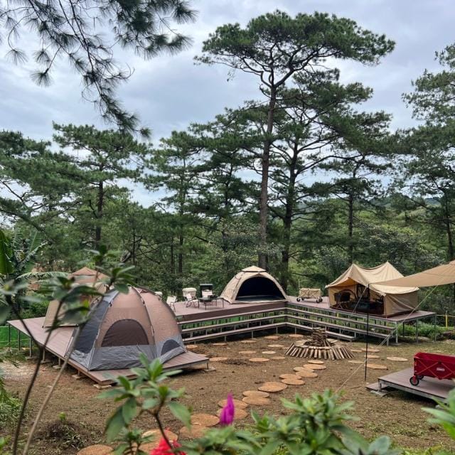 BBQエリア