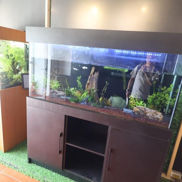 カフェ（AQUA GARDEN）