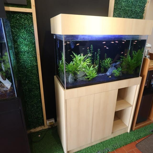 カフェ（AQUA GARDEN）