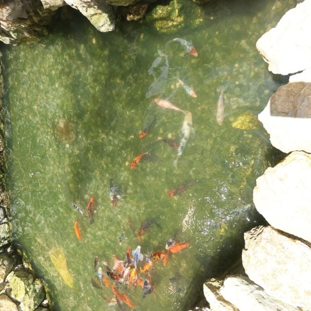 カフェ（AQUA GARDEN）