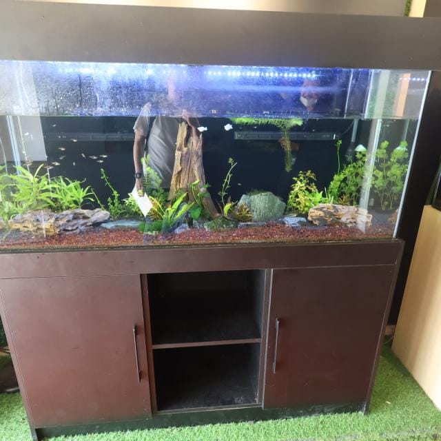 カフェ（AQUA GARDEN）