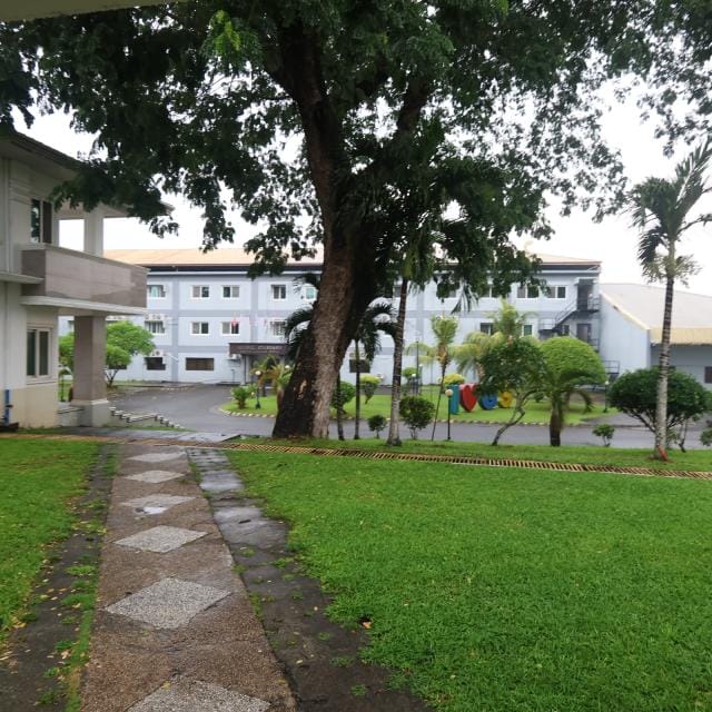 学校外観