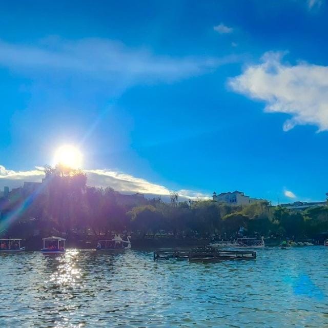 バーナム・パーク