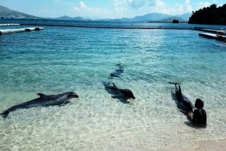 Subic Bay Ocean Adventure
