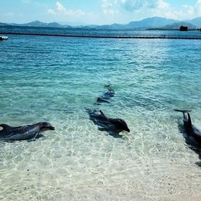 SUBIC BAY