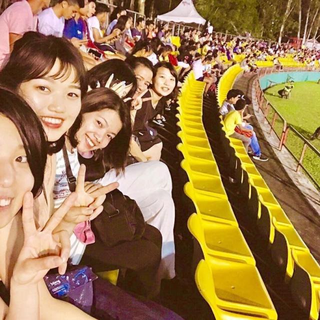 スタジアム観戦