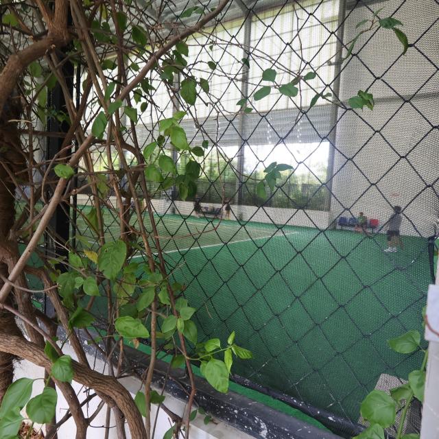 体育館