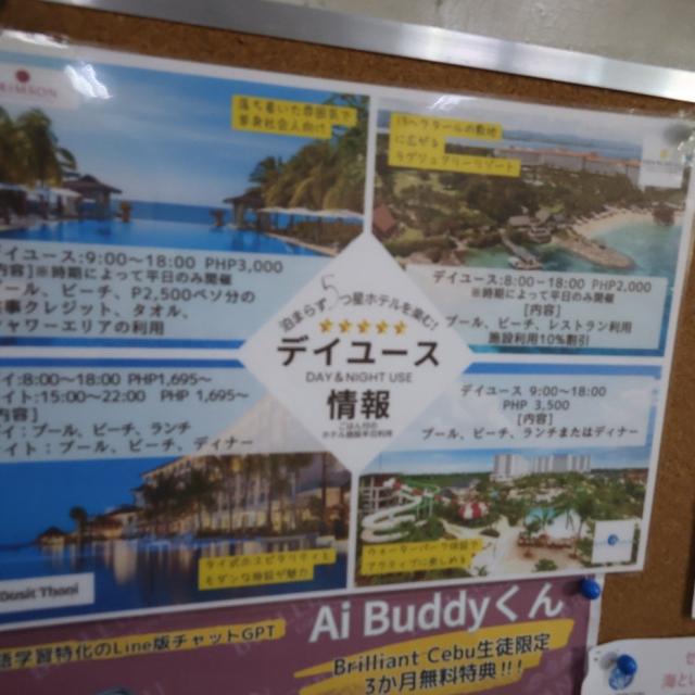 掲示板