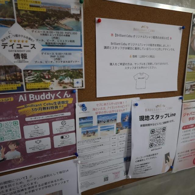 掲示板