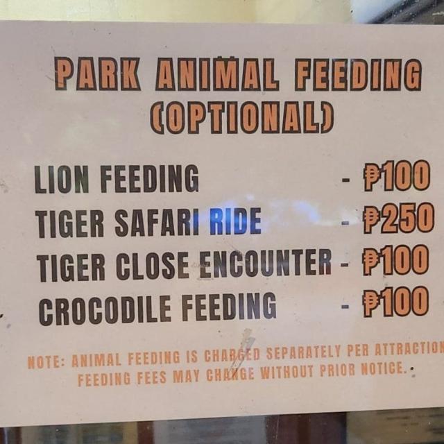 Zoobic Safari