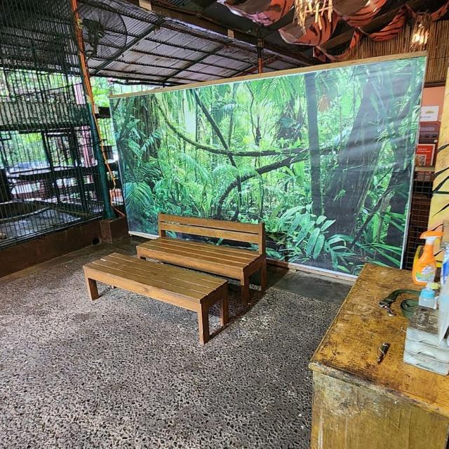 Zoobic Safari