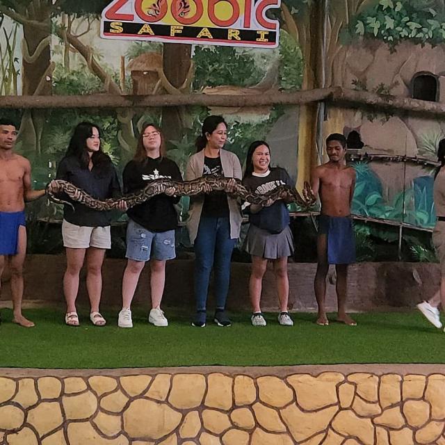 Zoobic Safari