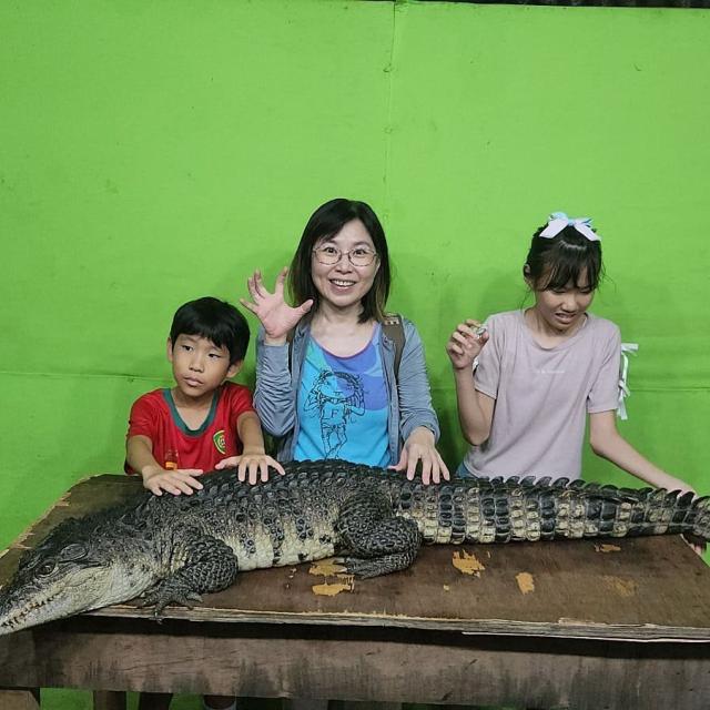 Zoobic Safari
