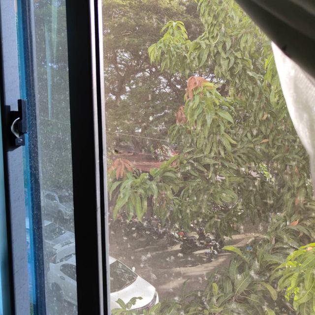 窓の網戸