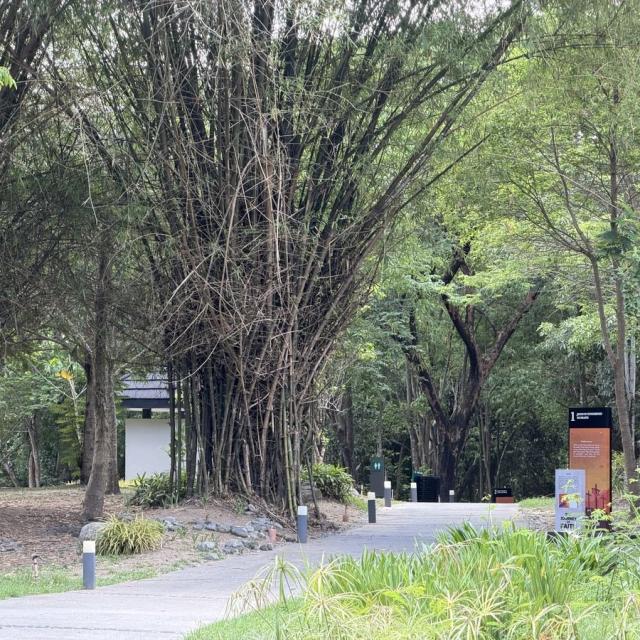 キャンパス遊歩道