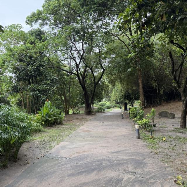 キャンパス遊歩道