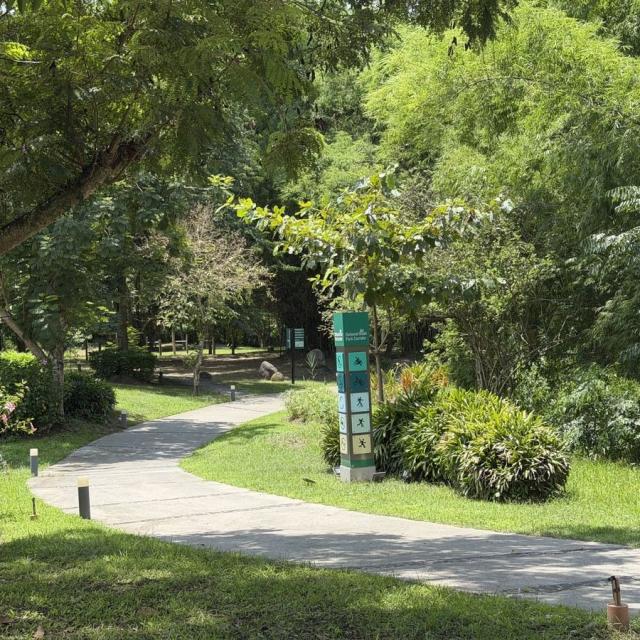 キャンパス遊歩道
