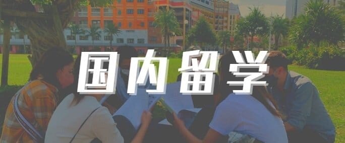 国内留学