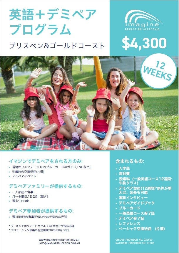 Demi Pair Program flyer